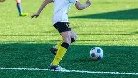 高尔夫界顶级教练的卓越魅力与教学艺术